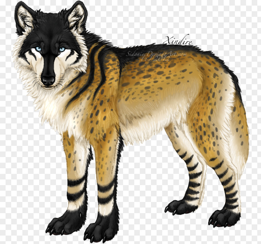 Cat Alaskan Tundra Wolf Red Fox Dog Drawing PNG