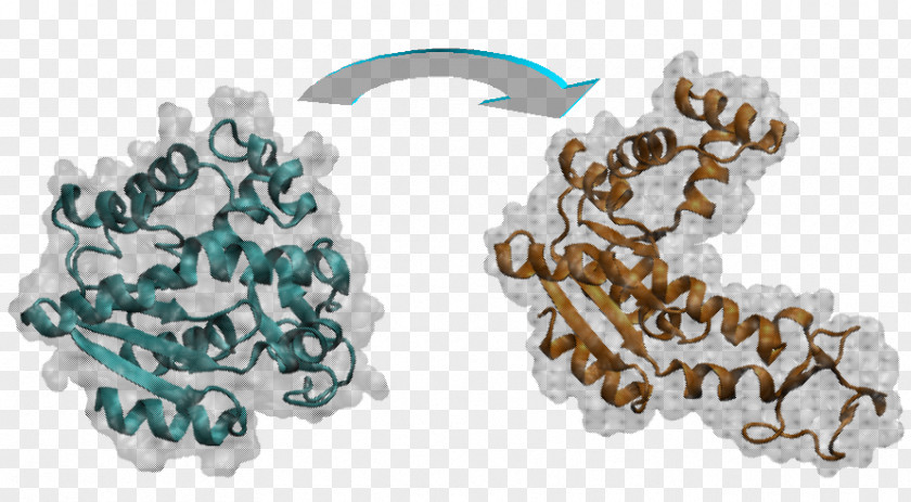 Coarse Grains Molecular Dynamics Genome Bioinformatics RNA-targeting Small Molecule Drugs PNG