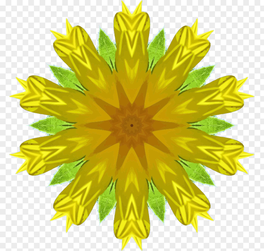 Dandelion Drawing Clip Art PNG