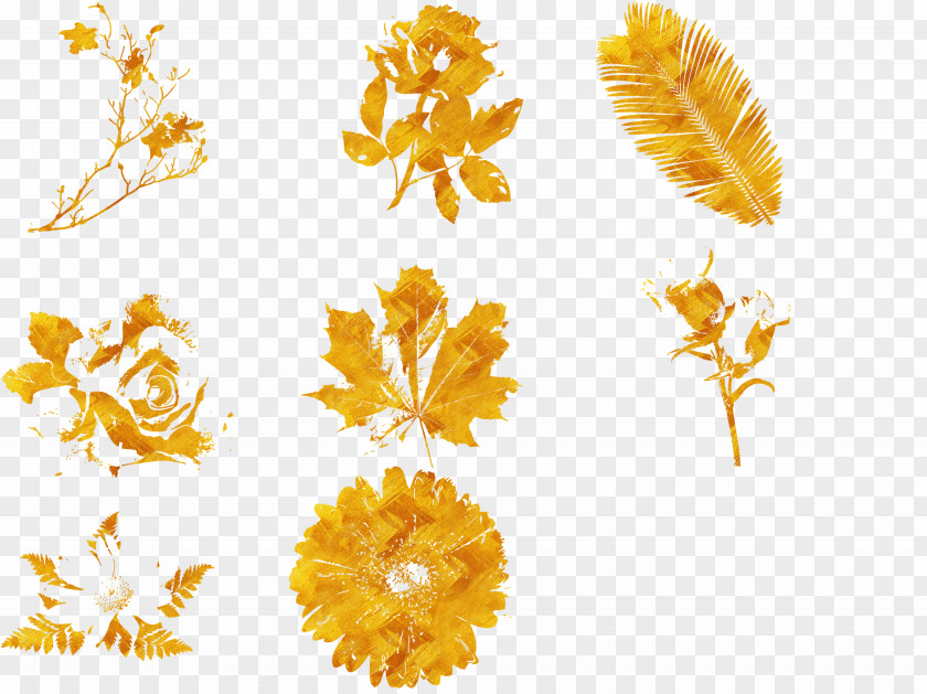 Golden Flower Gold Download Yellow PNG