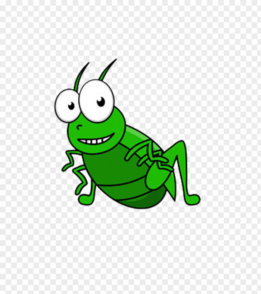 Little Green Grasshopper Cartoon Insect Field Cricket Clip Art PNG