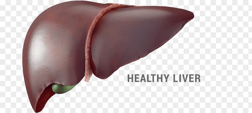 Liver Cells And Alcohol Food Stock Photography Eating Health PNG