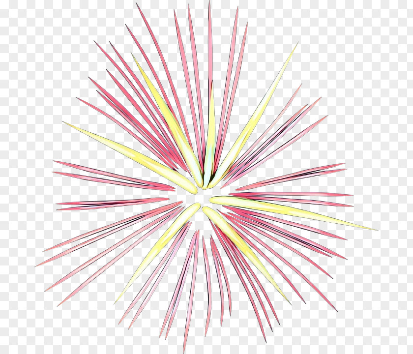 Plant Pink Fireworks Cartoon PNG