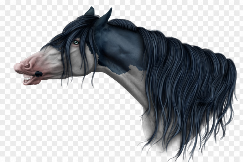 Pony Mane Halter Stallion Thumbnail PNG