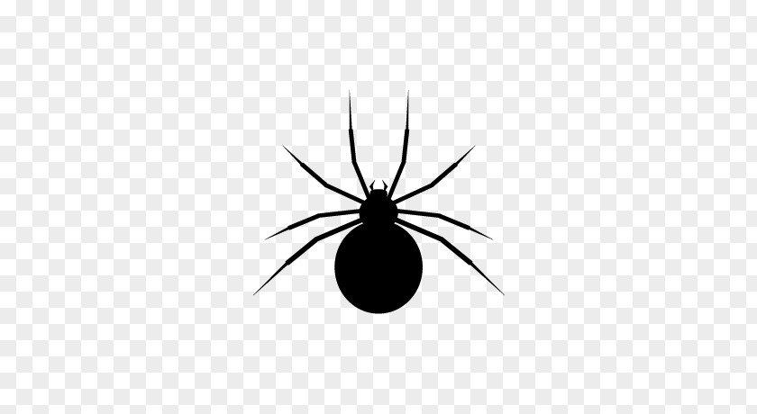 Spider Web Icon Insect Black And White Pattern PNG