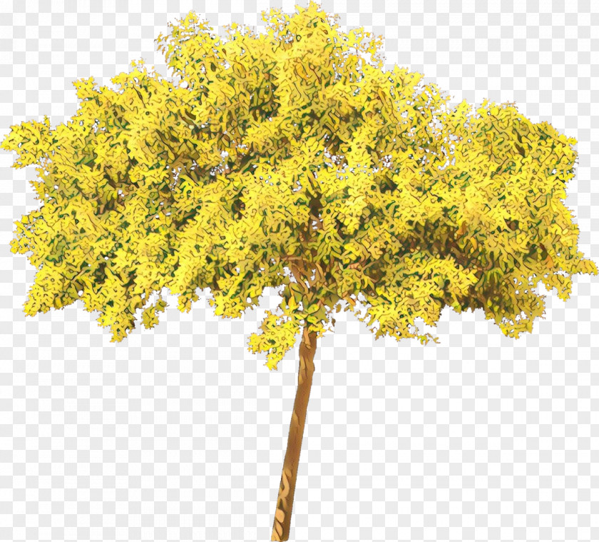 Sunset Trees & Shrubs Branch PNG