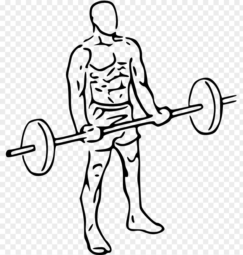 Barbell Biceps Curl Dumbbell Physical Exercise PNG