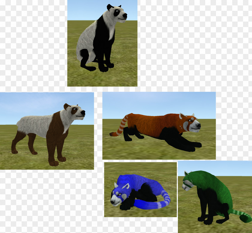 Bear American Black Giant Panda Red Grizzly PNG