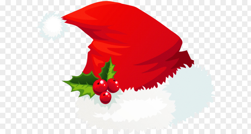 Christmas Ornament PNG