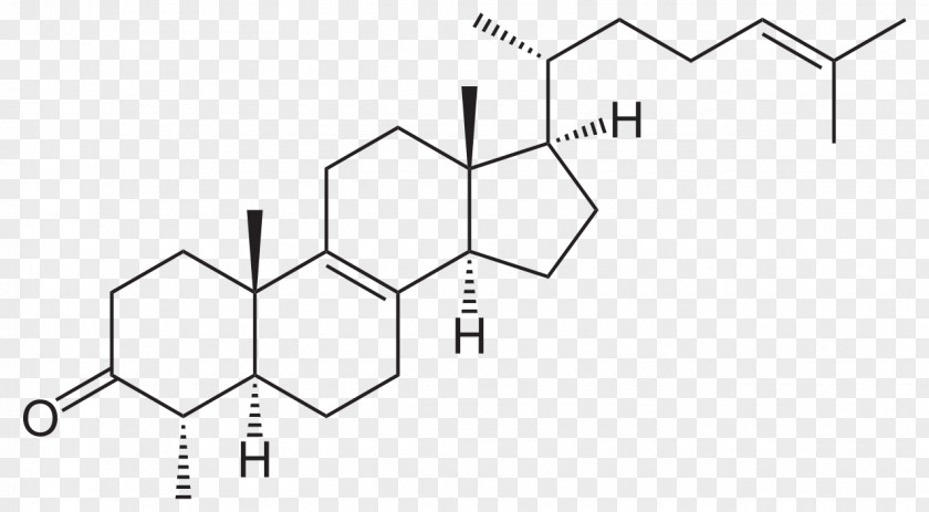 Keto The Great Testosterone Myth Hormone Impurity Cortisol PNG