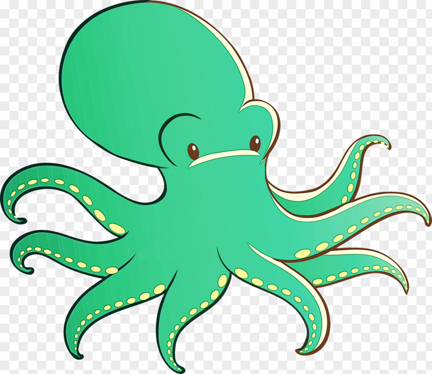 Octopus Green Giant Pacific PNG