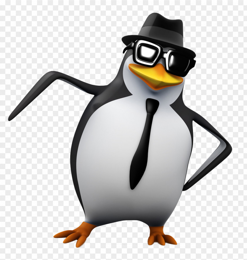 3D Wearing Sunglasses Penguins Cartoon Film Computer Graphics Download PNG
