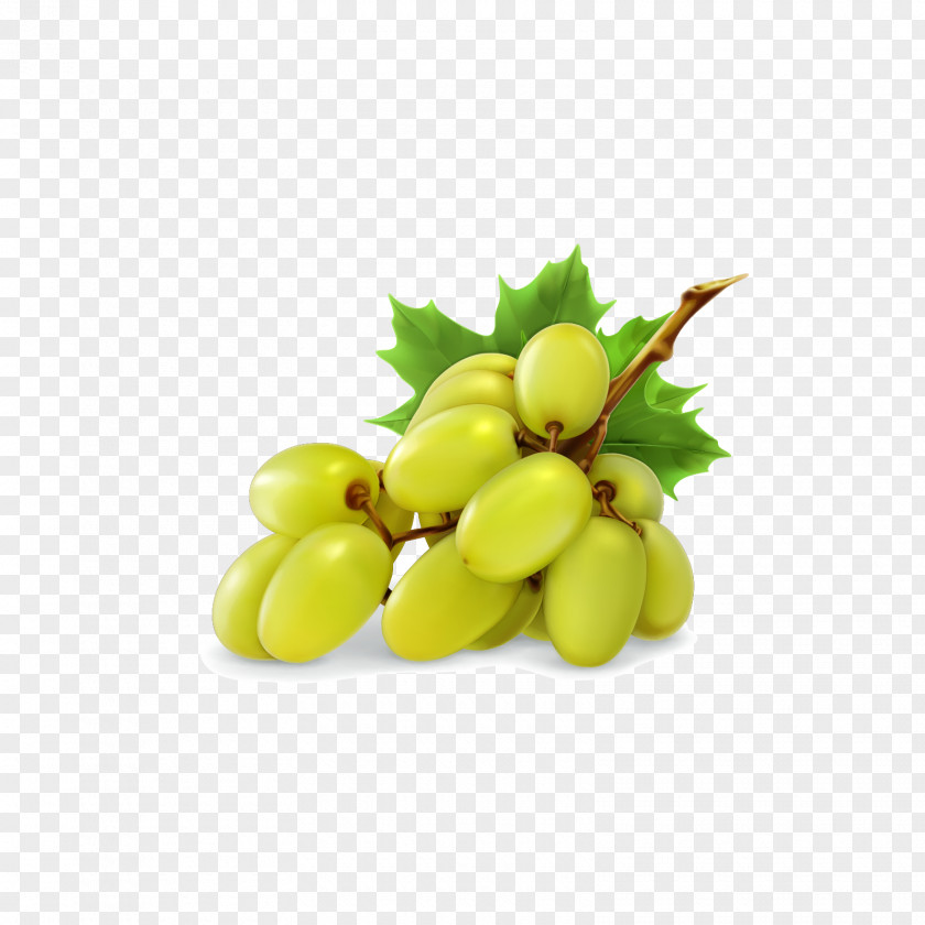 A String Of Green Grapes Juicer Grape PNG