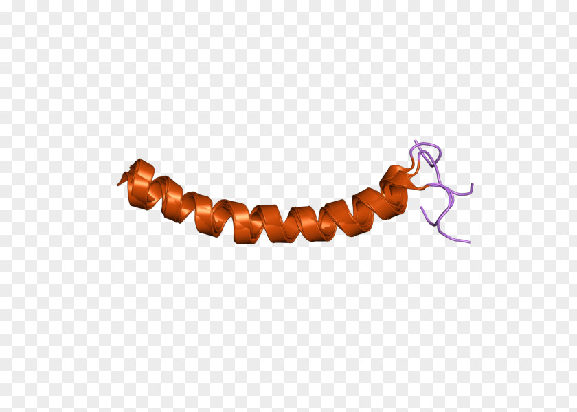 Cathelicidin LL-37 Antimicrobial Peptides Innate Immune System PNG