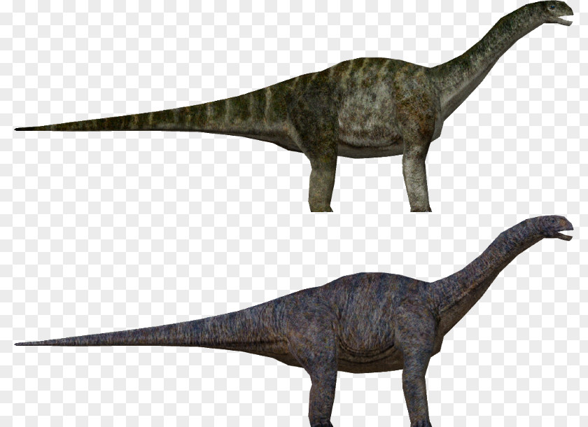 Dinosaur Velociraptor Apatosaurus Jurassic Park: Operation Genesis Tyrannosaurus Parasaurolophus PNG