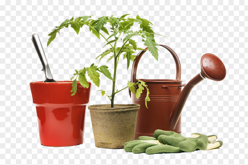 Gardening Tools And Small Potted Plants PNG