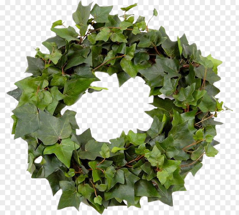 Green Leaves Ring Leaf Wreath Garland Crown PNG