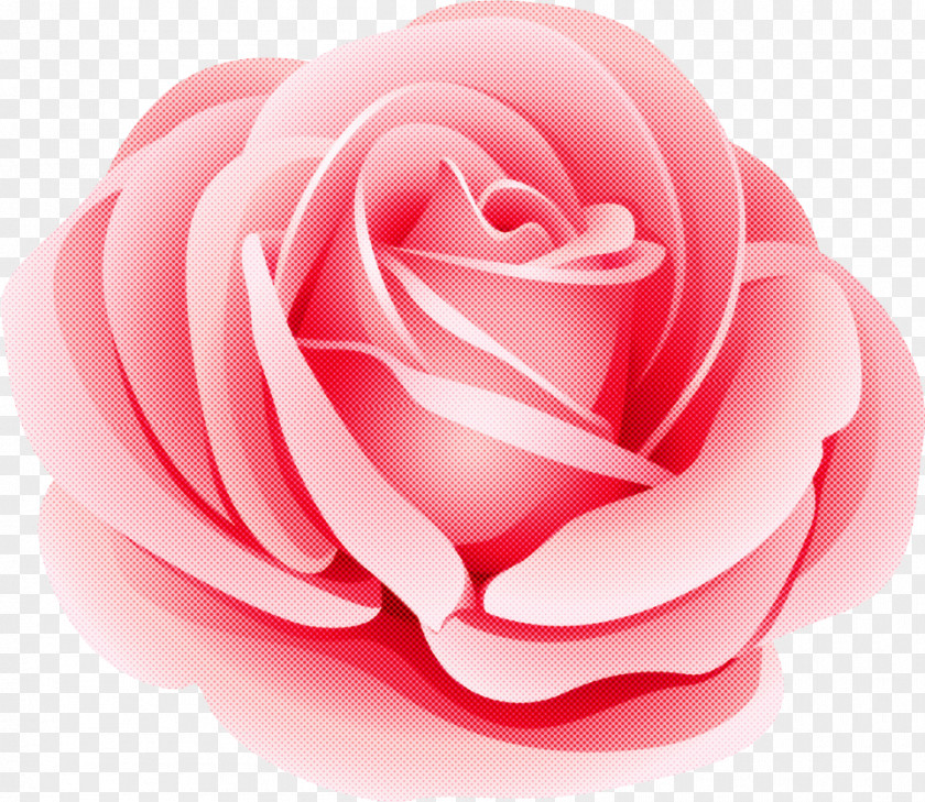 One Flower Rose Valentines Day PNG