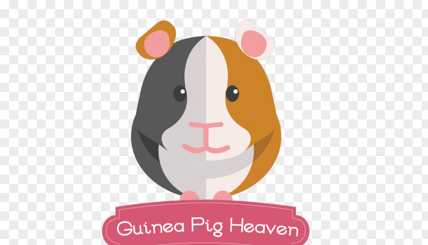 Real Hamster Skinny Pig Guinea Care Rodent Clip Art PNG