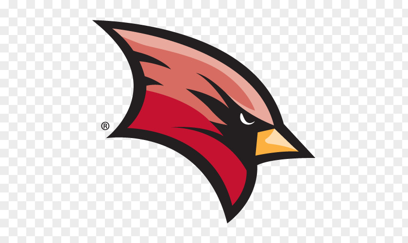 Student Saginaw Valley State Cardinals Football Wickes Stadium University Great Lakes Intercollegiate Athletic Conference PNG