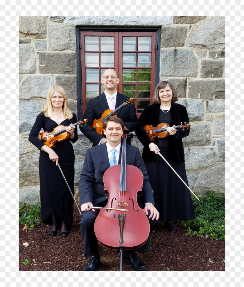 The Joy Of Ceremony Violone Cello Violin String Quartet PNG