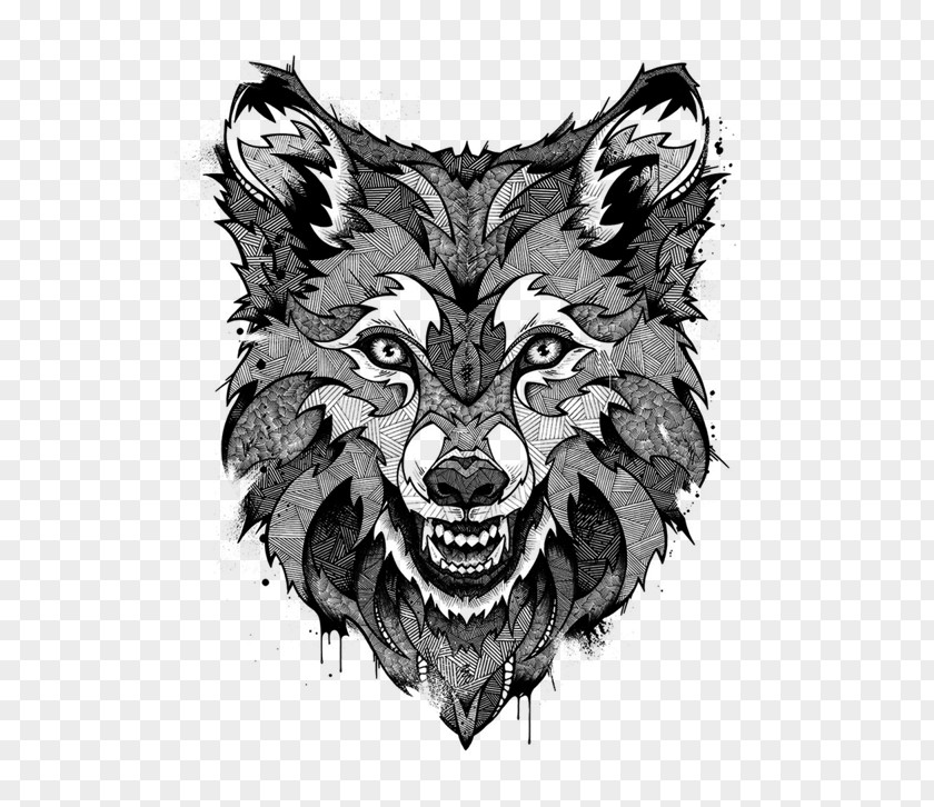 Wolf Drawings Step Drawing Line Art Clip PNG