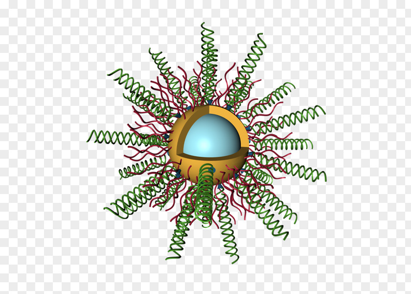 Biomedical Engineering Insect Christmas Ornament Font PNG