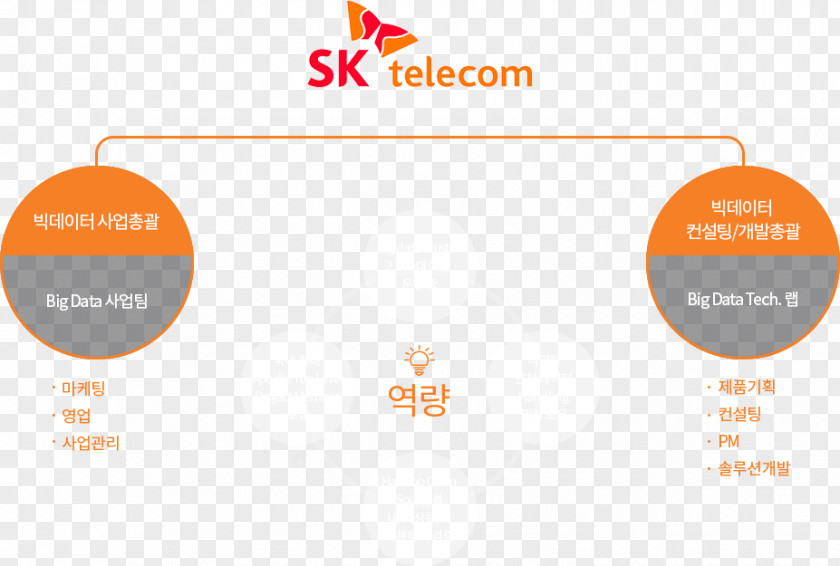 Business SK Telecom Organization Corp. PNG