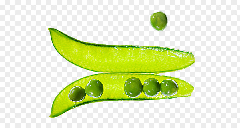 Peas Pictures Canada Social Psychology Textbook Stock Photography PNG