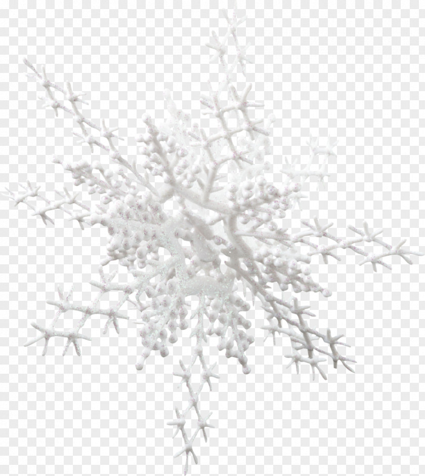 Snowflake Lovat River Clip Art PNG