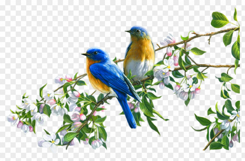 Bird Image Art Painting Canvas Print PNG