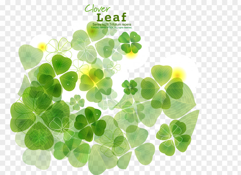 Clover Four-leaf PNG