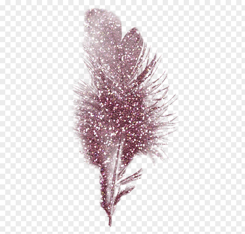 Feather Gold PNG