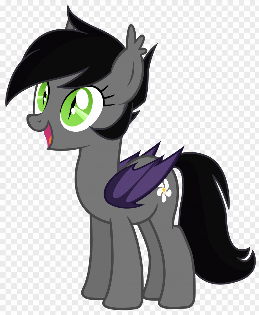 Horse My Little Pony Whiskers Winged Unicorn PNG