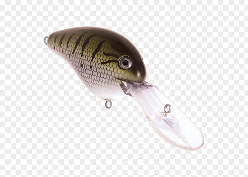 Livingston Lures Spoon Lure Fishing Baits & Plug Water Perch PNG