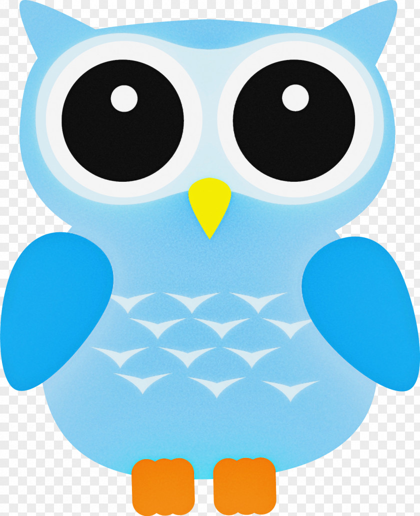 Owl Turquoise Cartoon Aqua Bird PNG