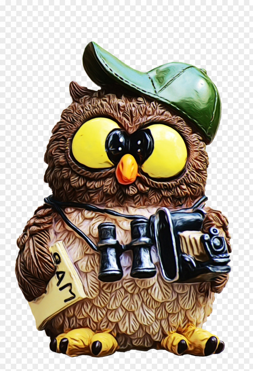 Owls Biology Science PNG