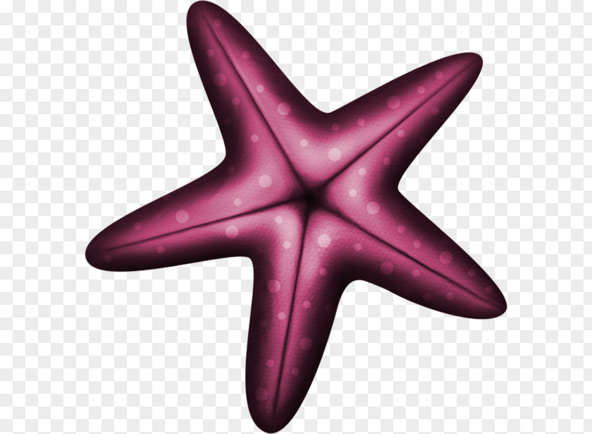 Purple Starfish Euclidean Vector Blue PNG
