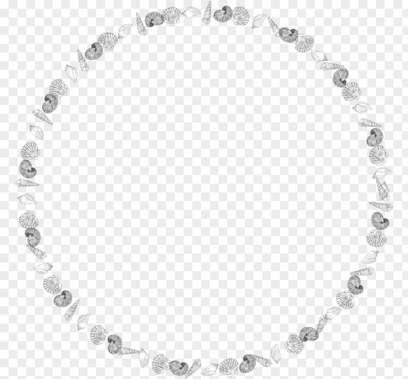Round Frame Picture Frames Seashell Clip Art PNG