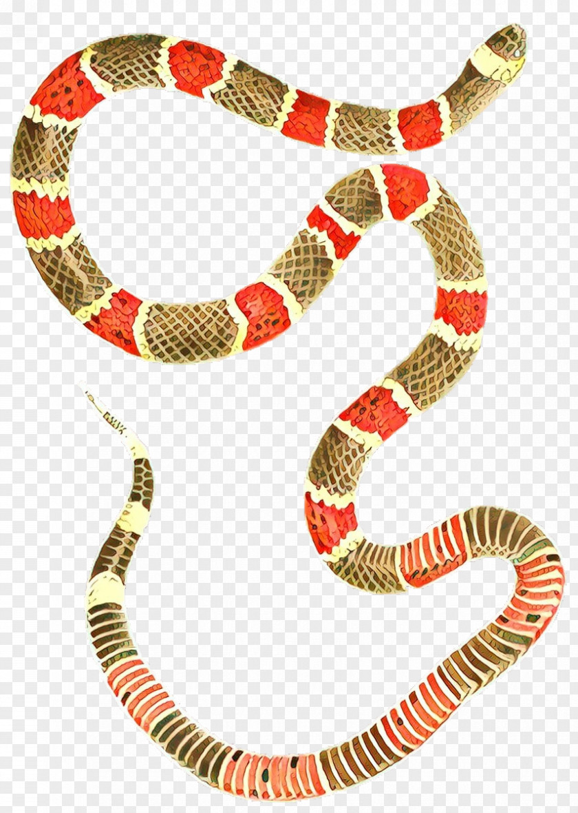 Corn Snake Coral Kingsnakes Boa Constrictor Colubrid Snakes Boas PNG