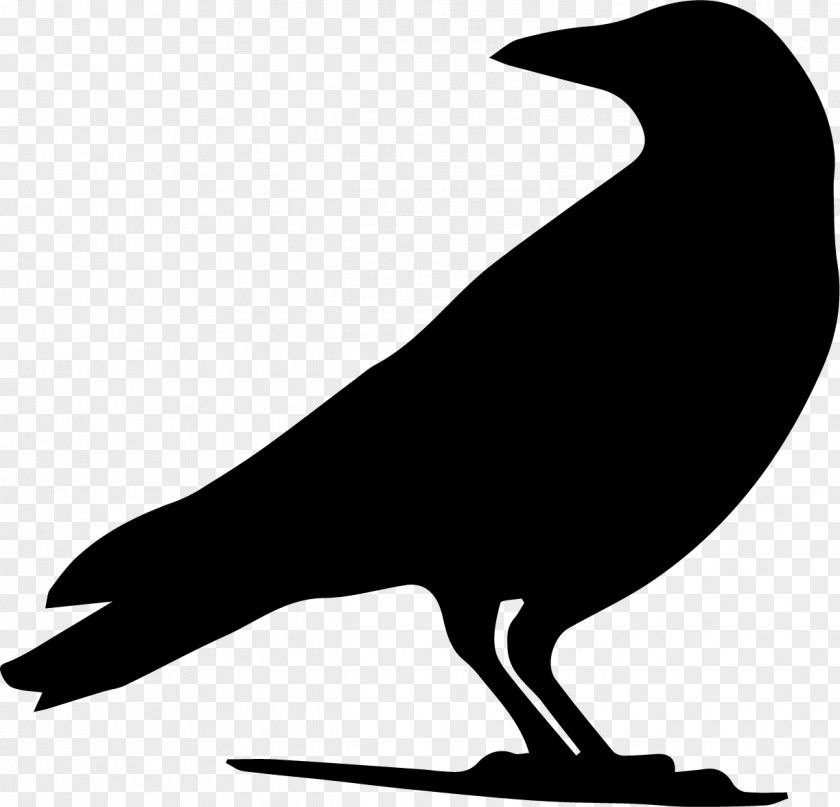 Crow Drawing Silhouette Clip Art PNG