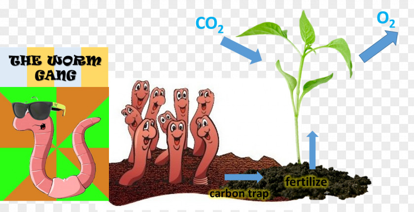 Earthworm Soil Carbon Dioxide Environmental Education PNG