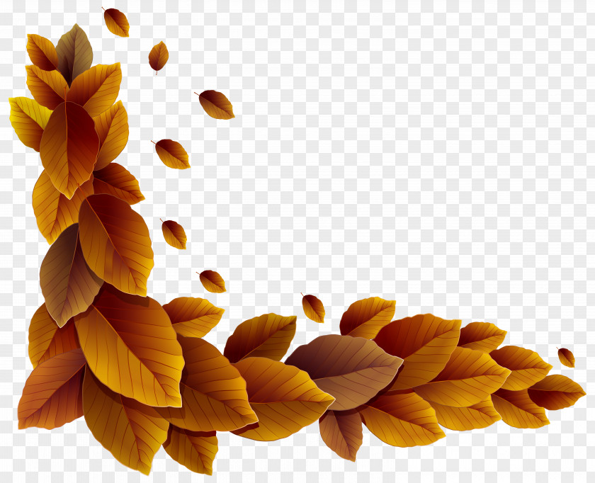 Fall Leaves Corner Decor Clipart Image Interior Design Color Clip Art PNG