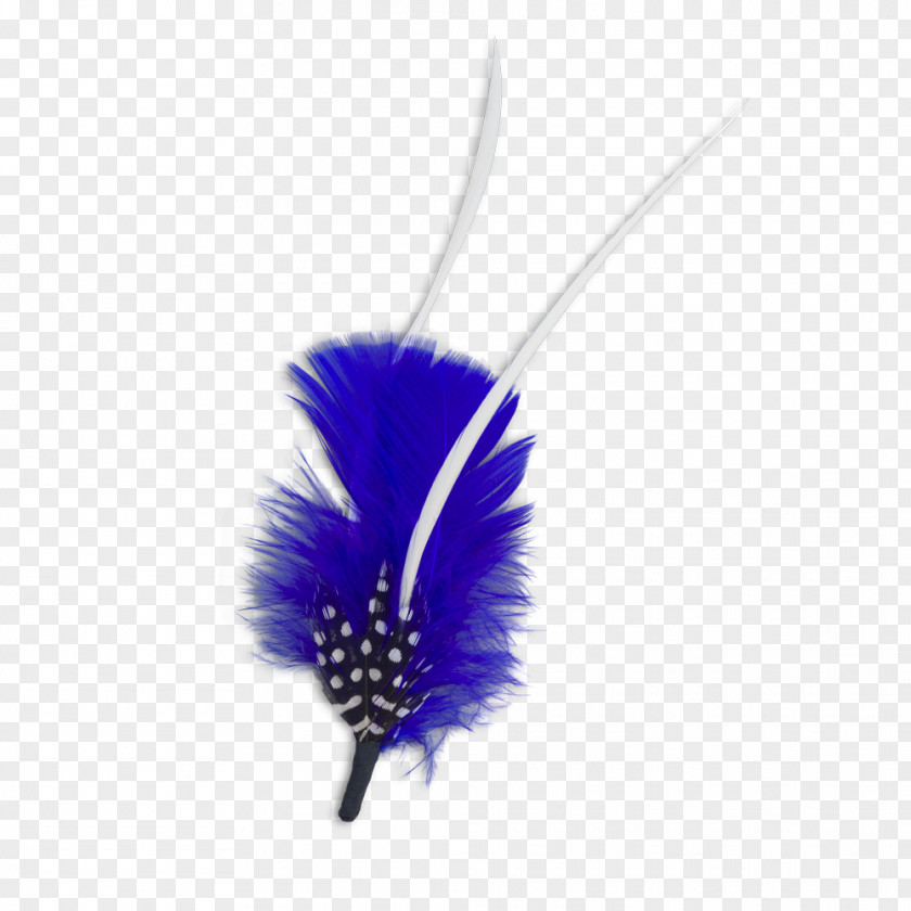 Feather Material PNG