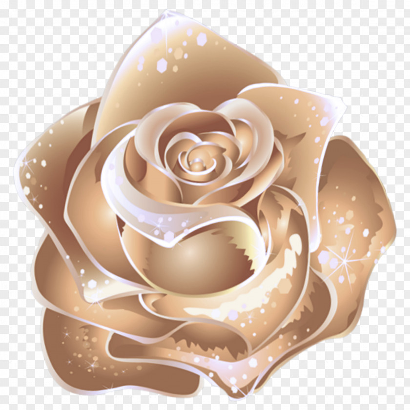 Rose Order Plant Garden Roses PNG