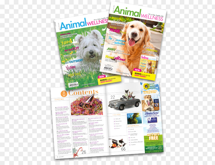 Dog Breed Advertising Product Sample Canada PNG
