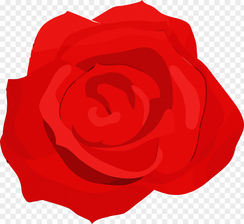 Garden Roses PNG