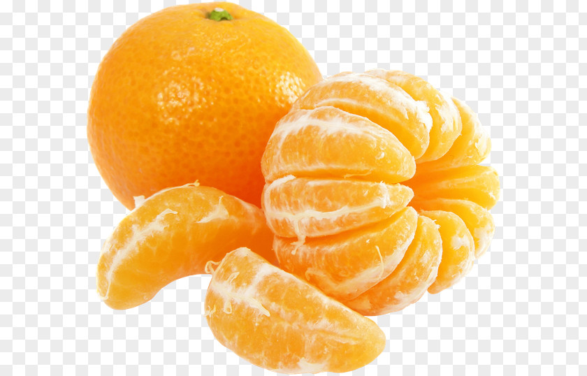 Orange Mandarin Tangerine Clip Art PNG