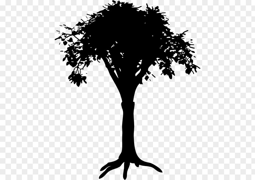 Tree Root Clip Art PNG