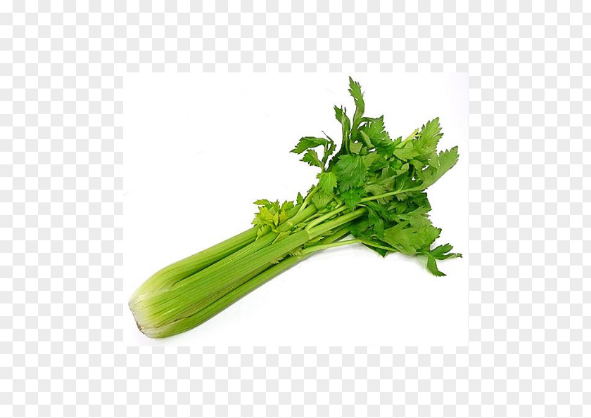 Vegetable Organic Food Vegetarian Cuisine Celery PNG